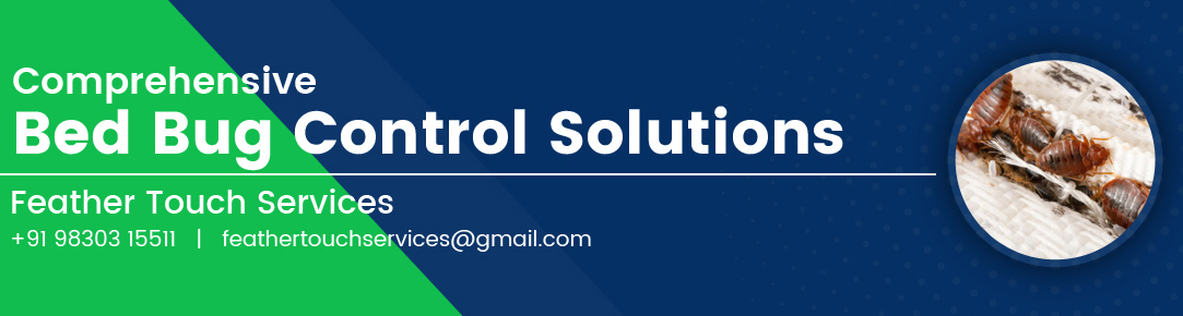 Bed Bug Control